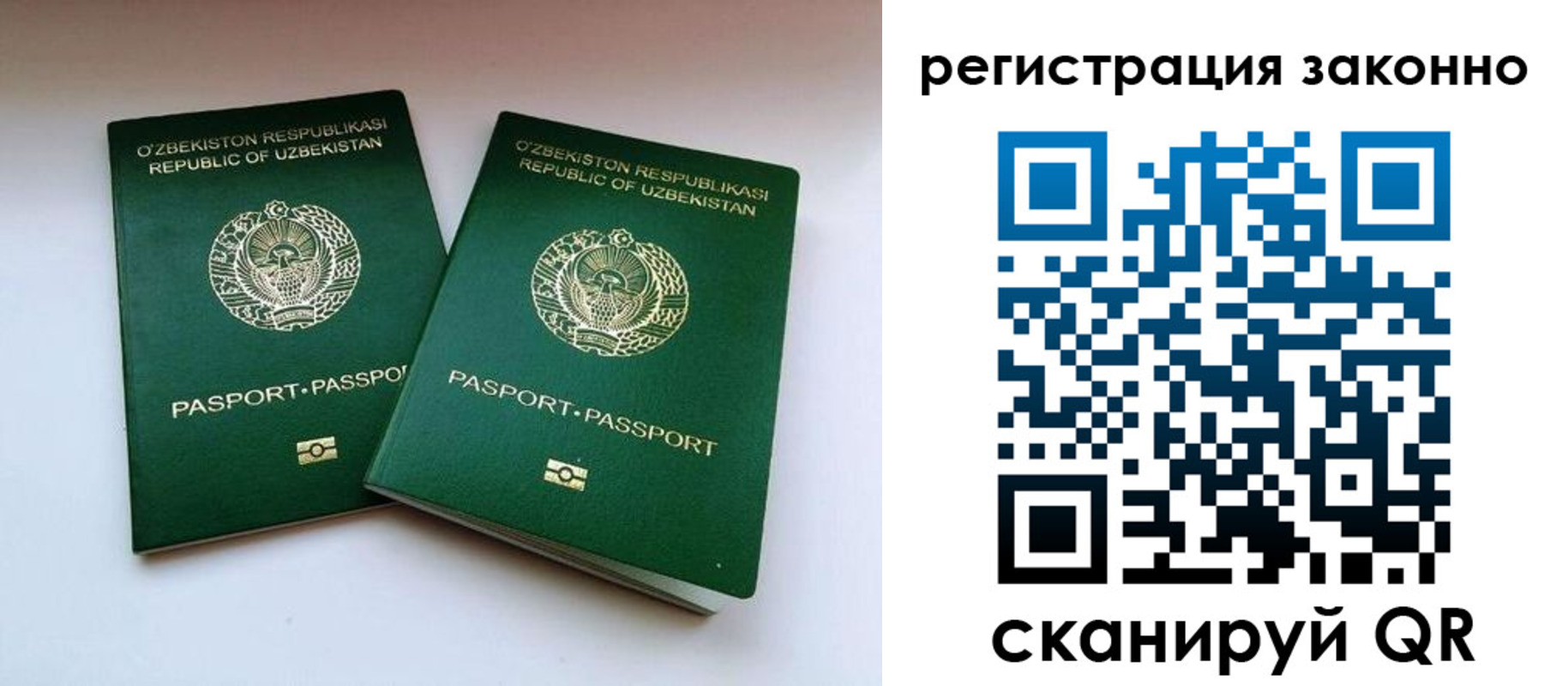 прописка гарантия в Лесозаводске